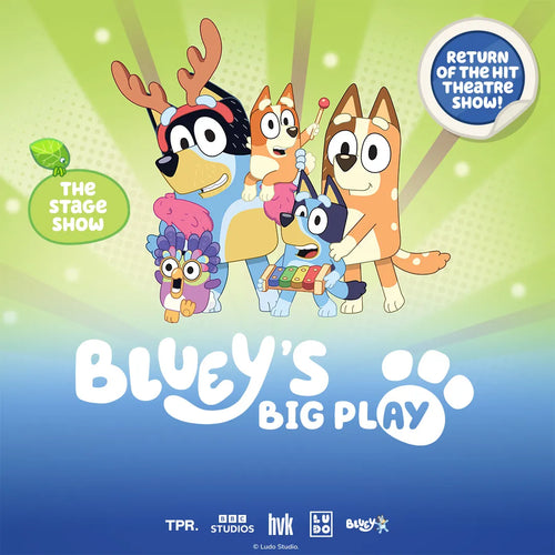 Bluey's Big Play Tour Poster